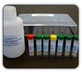 Mitochondrial assay kits