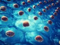 1st Cellular Aging and Metabolism Symposium