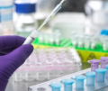 Protein Capture Tools: Advancing Research