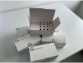 Test SarcomaFusion
