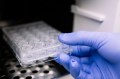 WEBINAR : Find out how to use hydrogels at Room temperature !