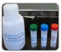 Caspase mediated apoptosis assay kits