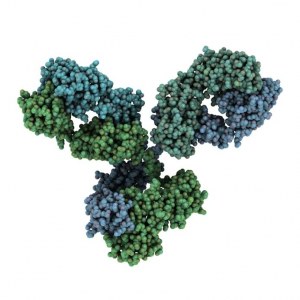 Monoclonal Antibody Trial Size Samples