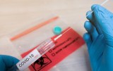 SARS-CoV-2 - Products for Diagnosis - Swabs