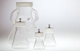 Flasks for Mammalian / Insect Cells culture