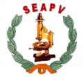 XXXIII Reunión de la SEAPV